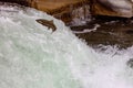 View of a fish jumping up a small waterfall Royalty Free Stock Photo