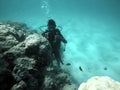 View of the fishes and coral reef in the sea near the island Royalty Free Stock Photo