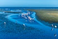 A view of a flock of flamingos in a waterway of Walvis Bay