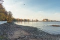 view of flocks of birds flying over Neva bay at autumn