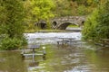 A view from the flooded banks of the River Teifi at Cenarth, Wales Royalty Free Stock Photo