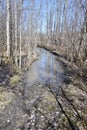 View of flooded hiking trail at Matchedash Bay