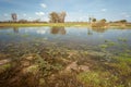 View of a flooded meadow on a clear day, April view Royalty Free Stock Photo