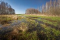 A view of a flooded meadow on a clear day Royalty Free Stock Photo