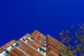 View from the floor of the facade of a modern building clad in ecological wood over clean blue sky, concept of sustainable