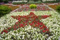 View of a flower bed with a five-pointed star pattern in a city park against a background of green trees Royalty Free Stock Photo