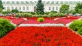 Flower beds near the Manezh, Moscow, Zaryadye Park, Moscow