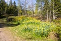 View of Flower Valley Blomdalen Kukkalaakso in spring