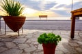 View on flowerpots with flowers on a paved promenade