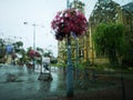 View of flowers and a church on the street during a rain from inside a car