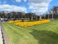 A view of the Flowers outside Buckingham Palace