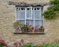 Window Flower Pots Royalty Free Stock Photo