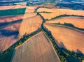 View from flying drone of river in shape of tree among the field of wheat. Royalty Free Stock Photo