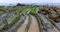 View of Flysch rock formations at low tide at Barrika beach near Bilbao Royalty Free Stock Photo