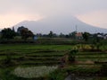 The view at the foot of mount arjuno Royalty Free Stock Photo