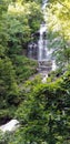 View of Amicalola Falls - Waterfall Among the Trees