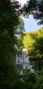 View of Amicalola Falls - Waterfall Among the Trees