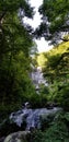 View of Amicalola Falls - Waterfall Among the Trees