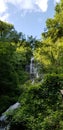 View of Amicalola Falls - Waterfall Among the Trees