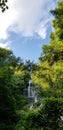 View of Amicalola Falls - Waterfall Among the Trees