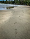 View at the footprints on the sand of a tropical beach in Costa Rica Royalty Free Stock Photo