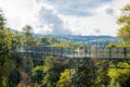 View Forest and Canopy Walkway For studying nature