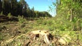 Deforestation for laying a high-voltage line