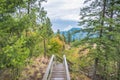 View of forest and distant mountains with stairs climbing Shorts Creek Gorge to the top of Fintry Falls Royalty Free Stock Photo