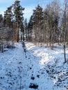 View of forest ditch and trees in the town after snowfall