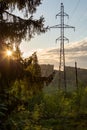 view of the forest and electric poles, high-voltage wires in the forest. Royalty Free Stock Photo