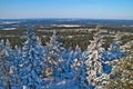 View from forest fire tower. (3) Royalty Free Stock Photo