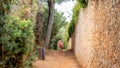 View of the forest on the Island of Sainte-Marguerite, France Royalty Free Stock Photo