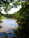 Forest lake, summer landscape