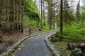 View of the forest in the mountain park of Ruskeala Royalty Free Stock Photo