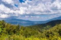 View of the forest and the mountains of Aberdare Royalty Free Stock Photo