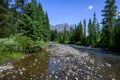 View of forest and mountains from middle of on Soda Butte Creek, Yellowstone National Park, USA Royalty Free Stock Photo