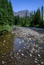 View of forest and mountains from middle of on Soda Butte Creek, Yellowstone National Park, USA Royalty Free Stock Photo