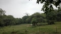 View on forest river side and green atmosphere