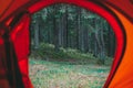 view of the forest from the tent, morning in the forest, pine forest Royalty Free Stock Photo