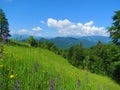 View of a forested hilly landscape of prealpine Slovenia