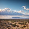 The view from Fort Davis towards Alpine and MarFA is called The High Desert of W...