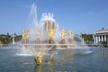 View of the fountain of `Friendship of Peoples`. Moscow Royalty Free Stock Photo