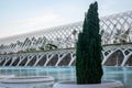 View and fountains and buildings in the science Park Valencia