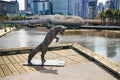 View of Fox sculpture and Webb bridge along Yarra river and south bank promenade, Melbourn