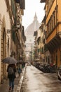 View of fragment of the Cathedral Santa Maria del Fiore in Florence cityscape