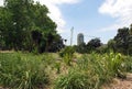 A view from Fragrance Garden on the construction of a new skyscraper