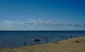 View of Frankston beach on a Saturday Royalty Free Stock Photo
