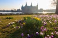 View of Frederiksborg castle in Hillerod, Denmark. Beautiful lake and garden with crocuses and daffodils on a foreground Royalty Free Stock Photo