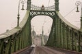 view of the Freedom Bridge Budapest Royalty Free Stock Photo