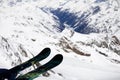 Freeride skier Royalty Free Stock Photo
